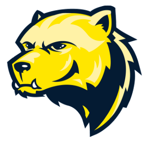 wolverinesintech logo